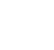 icon_V_blanc